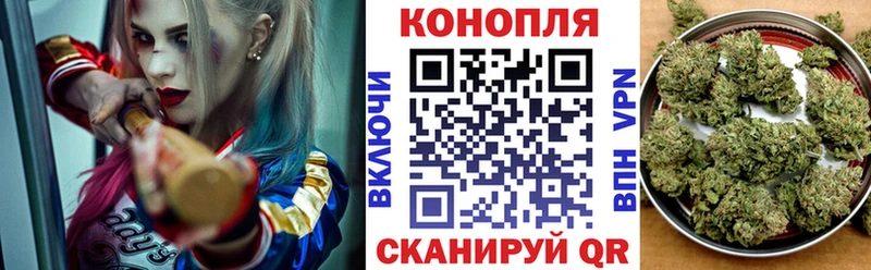 Купить Мышкин Псилоцибиновые грибы МЕФ Героин Кокаин