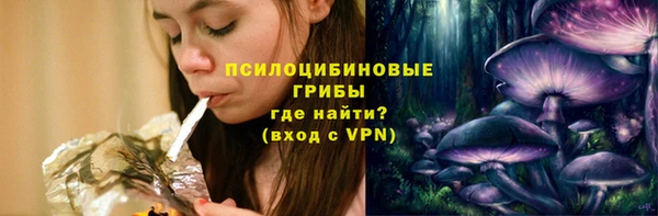 сатива Осинники