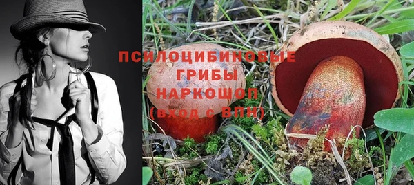 спиды Арсеньев