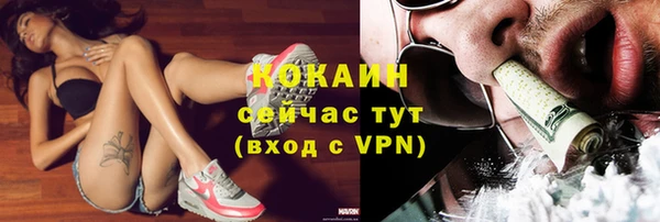 спиды Арсеньев