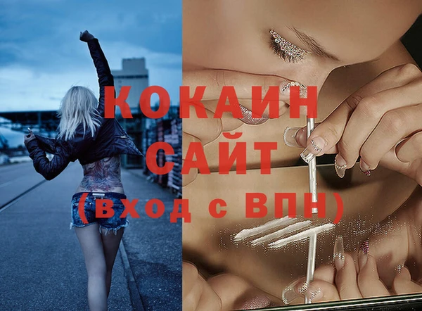 PSILOCYBIN Аркадак