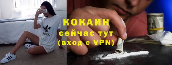 PSILOCYBIN Аркадак