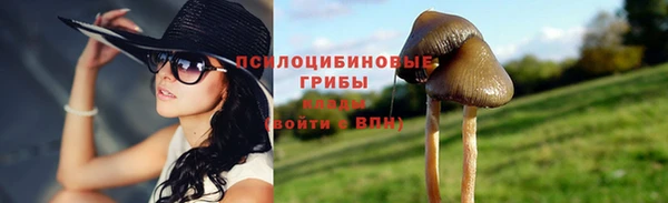 спиды Арсеньев
