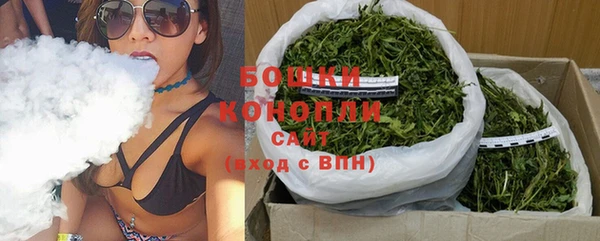 PSILOCYBIN Аркадак
