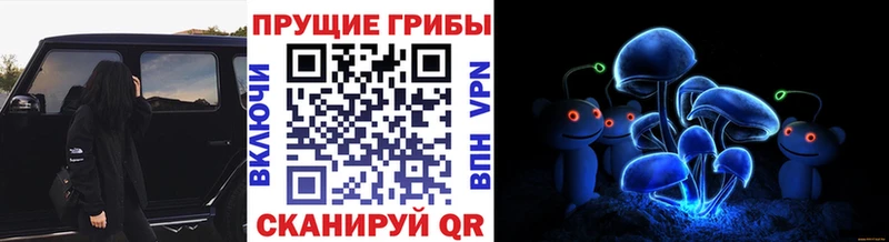 Псилоцибиновые грибы Psilocybe наркотики Мышкин